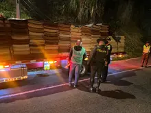 Continúan operativos de vigilancia y control al tráfico y transporte de madera