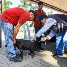 Animales del barrio El Piloto recibieron atención en su espacio 