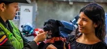 Animales del barrio El Piloto recibieron atención en su espacio