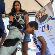Animales del barrio El Piloto recibieron atención en su espacio