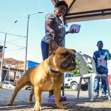 Animales del barrio El Piloto recibieron atención en su espacio