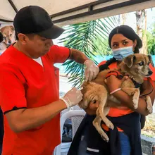 Animales del barrio El Piloto recibieron atención en su espacio