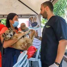 Animales del barrio El Piloto recibieron atención en su espacio