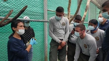 Unidad de Atención y Rescate de Fauna Silvestre está activa en temporada seca