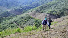 Barreras cortafuego para salvar la vida