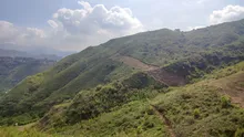 Barreras cortafuego para salvar la vida