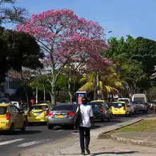 Comenzó la transformación ambiental del barrio Obrero 