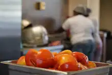Más de 55 mil raciones alimentarias se han entregado este año en Tecnocentro