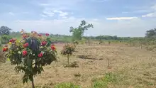Excavaciones y apertura de senderos: avances de obra en ‘Corazón de Pance’