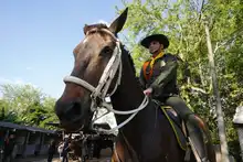 Con cuatro pedradas en la cabeza sale a desfilar el Carabinero de la Policía