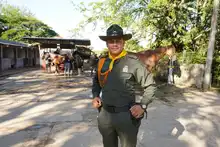 Con cuatro pedradas en la cabeza sale a desfilar el Carabinero de la Policía