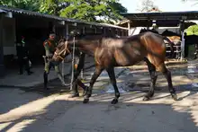 Con cuatro pedradas en la cabeza sale a desfilar el Carabinero de la Policía