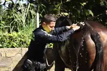 Con cuatro pedradas en la cabeza sale a desfilar el Carabinero de la Policía