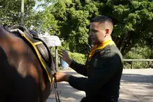 Con cuatro pedradas en la cabeza sale a desfilar el Carabinero de la Policía