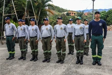 Brigada Forestal de los Bomberos de Cali está lista para la acción