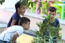 Primera infancia disfrutará la celebración del cumpleaños de Cali