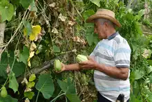 Comunidades rurales potencian Unidades Productivas con el programa  Corazón Contento