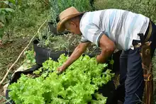 Comunidades rurales potencian Unidades Productivas con el programa  Corazón Contento