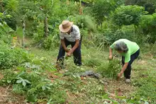 Comunidades rurales potencian Unidades Productivas con el programa  Corazón Contento