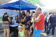 Alcaldía de Cali realizó feria de servicios institucionales en la Comuna 15