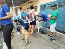 Sancochada por la Paz