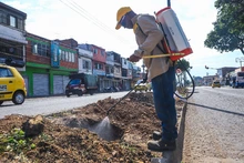 Barrio Sucre, comprometido con la renaturalización de su territorio