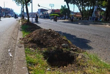 Barrio Sucre, comprometido con la renaturalización de su territorio