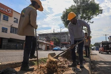 Barrio Sucre, comprometido con la renaturalización de su territorio