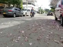 Avanza renovación vial en el barrio San Judas Tadeo II