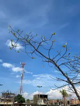 Se les acabó el berrinche a Linda y Leticia en el Bulevar de Oriente