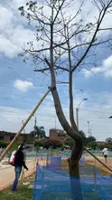 Se les acabó el berrinche a Linda y Leticia en el Bulevar de Oriente