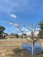 Se les acabó el berrinche a Linda y Leticia en el Bulevar de Oriente