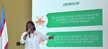 Gobierno Distrital de Cali evalúa nuevas medidas para controlar brote de dengue