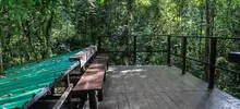 Papá Noel y Las Niñas, viven en un bosque de encanto a las afueras de Cali 