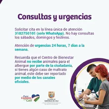 requisitos para acceder a atención veterinaria en el CBA