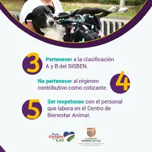 requisitos para acceder a atención veterinaria en el CBA