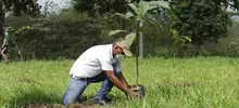 Siembra de plantas, limpieza y ‘parche río’, este sábado en Pilas del Cabuyal