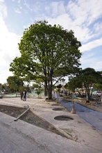 Avance de obras del Bulevar del Oriente