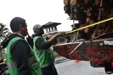 Cali extrema medidas para la protección de flora en peligro de extinción
