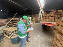 Cali extrema medidas para la protección de flora en peligro de extinción