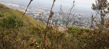 Dagma mitigó riesgo de nuevo incendio en el cerro de Las Tres Cruces