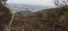 Dagma mitigó riesgo de nuevo incendio en el cerro de Las Tres Cruces
