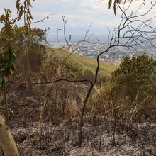 Dagma mitigó riesgo de nuevo incendio en el cerro de Las Tres Cruces