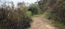 Dagma mitigó riesgo de nuevo incendio en el cerro de Las Tres Cruces