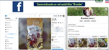 Desmantelada estructura criminal dedicada al tráfico de sustancias estupefacientes camufladas en productos comestibles