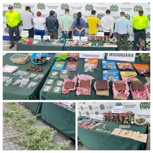 Desmantelada estructura criminal dedicada al tráfico de sustancias estupefacientes camufladas en productos comestibles