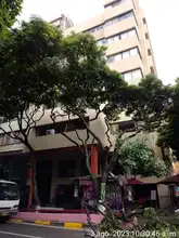 El Dagma realiza mantenimiento preventivo en árboles de la Avenida Sexta
