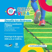 Desafío Ciclovida: Fortaleciendo habilidades para resolver problemas