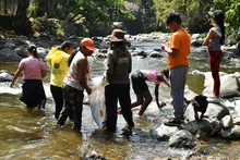 Caleños madrugaron a consentir al río Cali y cuidar el cerro de Cristo Rey