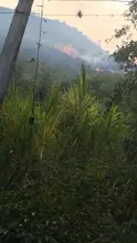 Acciones interinstitucionales permitieron controlar dos incendios forestales el domingo
